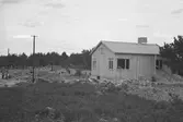 Nybyggen. September 1942