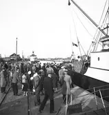 Gävle
Inre hamn

Kan det vara ett farligt djur som lastas av och ska till cirkusen eller Furuvik.












