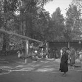 Furuvik
Furuviksparken invigdes pingstdagen 1936.

Lekplats med gungor, gunghästar och mycket annat












