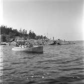 Furuskär
Furuviksparken invigdes pingstdagen 1936.

Några sitter i en motorbåt
badande människor på skäret












