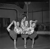 Furuviksparken invigdes pingstdagen 1936.

Cirkusbyggnaden Teater-Cirkus med cirka 600 platser, uppförd 1940.










