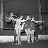 Furuviksparken invigdes pingstdagen 1936.

Cirkusbyggnaden Teater-Cirkus med cirka 600 platser, uppförd 1940.










