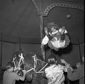 Furuviksparken invigdes pingstdagen 1936.

Cirkusbyggnaden Teater-Cirkus med cirka 600 platser, uppförd 1940.










