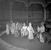 Furuviksparken invigdes pingstdagen 1936.

Cirkusbyggnaden Teater-Cirkus med cirka 600 platser, uppförd 1940.

Även några zebror fanns på plats








