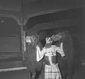 Furuviksparken invigdes pingstdagen 1936.

Cirkusbyggnaden Teater-Cirkus med cirka 600 platser, uppförd 1940.

Även kameler fanns på plats








