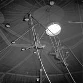 Furuviksparken invigdes pingstdagen 1936.

Akrobatik på högsta nivå









