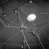 Furuviksparken invigdes pingstdagen 1936.

Akrobatik på högsta nivå









