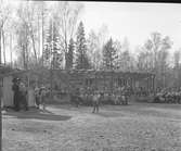 Furuviksparken invigdes pingstdagen 1936.
