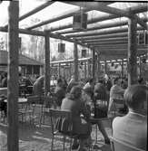 Furuviksparken invigdes pingstdagen 1936.









