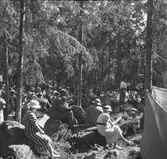 Furuviksparken invigdes pingstdagen 1936.









