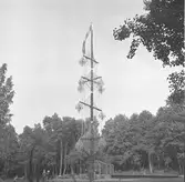 Furuviksparken invigdes pingstdagen 1936.

Den fina majstången som alla beundrar







