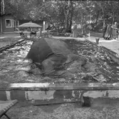 Furuviksparken invigdes pingstdagen 1936.
Nöjesfältet, badplatsen Sandvik och djurparken gjordes iordning.

Taku tar sig ett dopp







