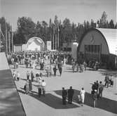 Furuviksparken invigdes pingstdagen 1936.

Nöjesfältet, badplatsen Sandvik och djurparken gjordes iordning.








