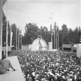Furuviksparken invigdes pingstdagen 1936.

Nöjesfältet, badplatsen Sandvik och djurparken gjordes iordning.

Anita Kittner ska hoppa ner i en liten tunna vatten från hög höjd






