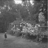 Furuviksparken invigdes pingstdagen 1936.

Folkdanslaget Furuviks Ungdomslag och Barnkabarén blev Furuviksbarnen

En liten beundrare





