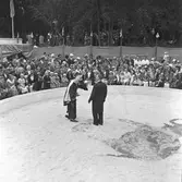 Furuviksparken invigdes pingstdagen 1936.

Folkdanslaget Furuviks Ungdomslag och Barnkabarén blev Furuviksbarnen







