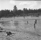 Furuviksparken invigdes pingstdagen 1936.

Nöjesfältet, badplatsen Sandvik och djurparken gjordes i ordning.

Badplatsen Sandvik

