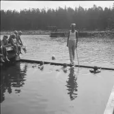 Furuviksparken invigdes pingstdagen 1936.

Nöjesfältet, badplatsen Sandvik och djurparken gjordes i ordning.

Badplatsen Sandvik

