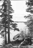 Furuviksparken invigdes pingstdagen 1936.

Utsikt från Säldammen







