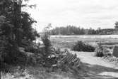 Furuviksparken invigdes pingstdagen 1936.

Furuviks natur






