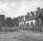 :: RÖDA STJÄRNAN
Föreningens ändamål - organiserad vård för djuren under krig.
Med frivillig hjälp genom insamling av medel.
Att kunna hjälpa till med erforderlig veterinärhjälp och djurvård.





