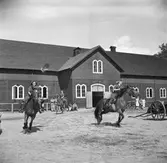 :: RÖDA STJÄRNAN
Föreningens ändamål - organiserad vård för djuren under krig.
Med frivillig hjälp genom insamling av medel.
Att kunna hjälpa till med erforderlig veterinärhjälp och djurvård.





