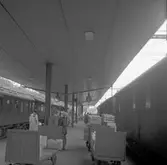 Centralstationen
Perrongen








