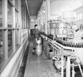 Gefle Bryggeri AB
grundades 1856
De första åren bryggdes bayerskt öl och svagdricka, från 1881 även pilsner och iskällardricka. Produktion av läskedrycker började 1900.
