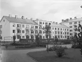 Nybyggen

September 1943
