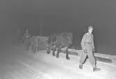 Militärer på väg hem från en manöver i Sollefteå. Mars 1949
