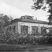 Höststormen

September 1937