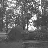 Höststormen

September 1937