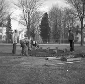 Vårbilder

1 maj 1938
