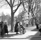 Vårbilder

1 maj 1938
