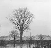 Almen vid korsningen Luthergatan och Bergsgatan


