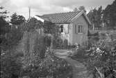 Bäckebro koloni
Anlades 1928. Av markägaren, kanslirådet Söderhielm på Tolvfors bruk, fick kolonisterna själva arrendera sina lotter. En egen förening, bildad 1937, arrenderade marken och övertog skötseln av området.