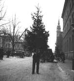 julgransmarknad på Stortorget

18 december 1942