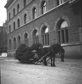 julgransmarknad på Stortorget

18 december 1942