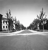 Lindallé vid Staketgatan