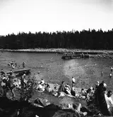 Furuviksparken invigdes 1936

Badplats Sandvik

Folkdanslaget Furuviks Ungdomslag och
Barnkabarén blev Furuviksbarnen













