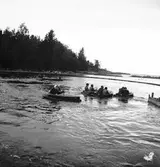 Furuviksparken invigdes 1936

Badplats Sandvik

Folkdanslaget Furuviks Ungdomslag och
Barnkabarén blev Furuviksbarnen













