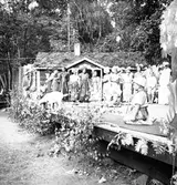 Furuviksparken invigdes 1936

Furuviksbarnen på stora scen

Folkdanslaget Furuviks Ungdomslag och
Barnkabarén blev Furuviksbarnen













