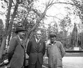 Furuviksparken invigdes 1936. Folkdanslaget Furuviks Ungdomslag och Barnkabarén blev Furuviksbarnen













