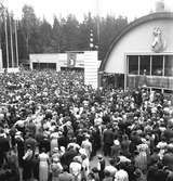 Furuviksparken invigdes 1936



Folkdanslaget Furuviks Ungdomslag och
Barnkabarén blev Furuviksbarnen













