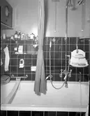 Stig Berg, Löjtnant
Foto tagen i hemmet

8 maj  1938

