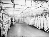 Gefle-Ortens Slakteriförs. förening, Enskede

Kylrum

16 januari 1940

