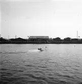 S.M.K:s Gävleavdelning utombordartävling. 17 augusti 1947.