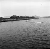 S.M.K:s Gävleavdelning uomtbordartävling. 17 augusti 1947.