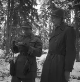 Fältmanöver. 1947. Reportage för Gefle Dagblad.