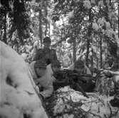 Fältmanöver. 1947. Reportage för Gefle Dagblad.